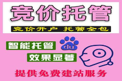 SEM托管公司案例：行业应用